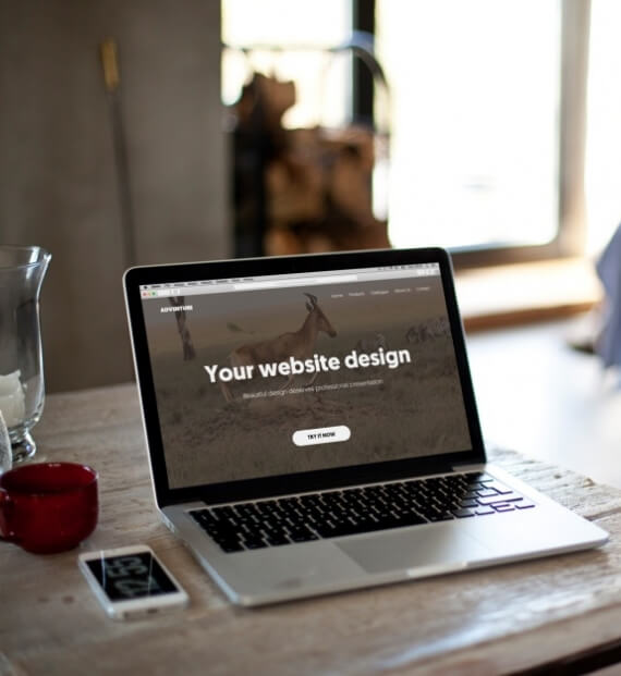 Web design company in Morbi